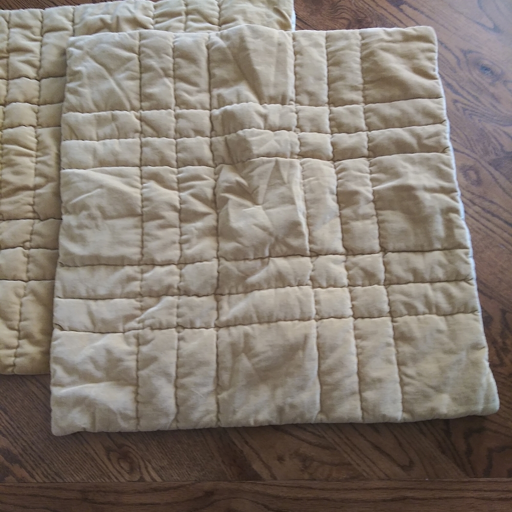 Pottery Barn Gold Wheat Color Square Shams